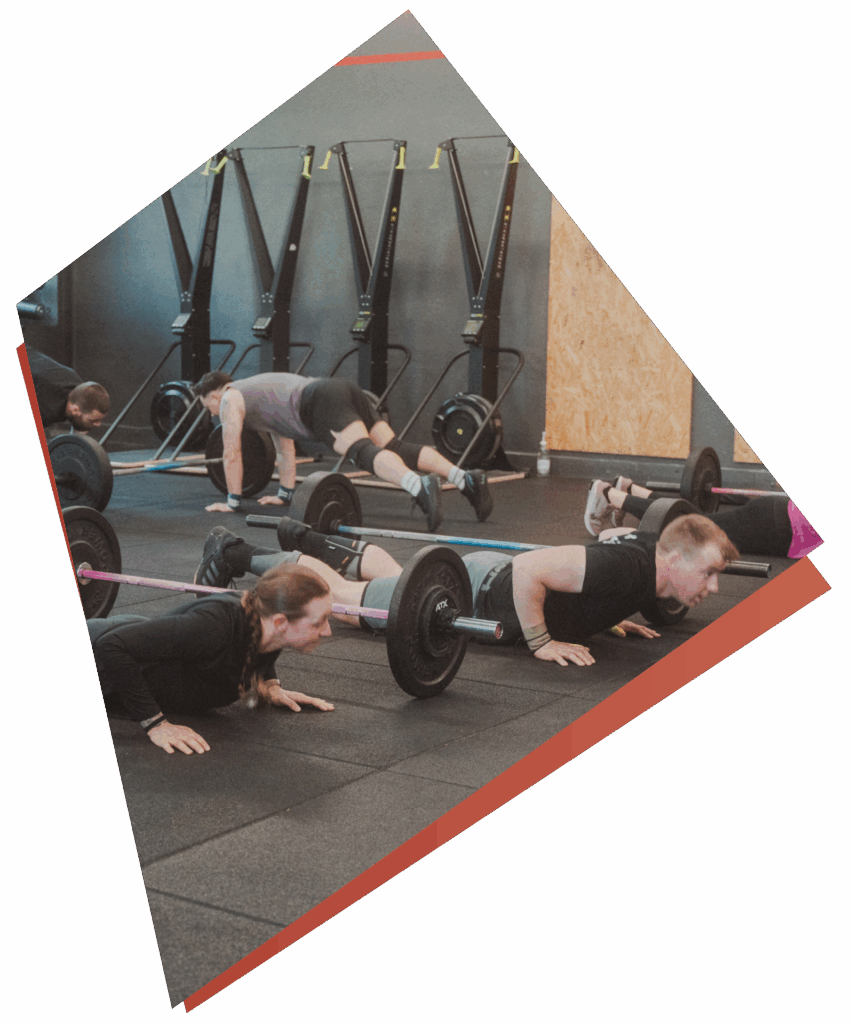 Personen, die in einem Fitnessstudio Liegestütze unter Hanteln machen und dabei ihre Kurse und Fähigkeiten hervorheben. Das Bild ist diagonal gedreht und zeigt vier Personen mitten im Training auf einem gummierten Turnhallenboden mit Trainingsgeräten im Hintergrund.